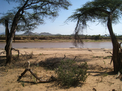 We counted 10 crocs on the river bank 16 Sep 2011