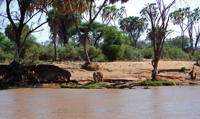 On the banks of the Ewaso Nyiro River 16 Sep 11