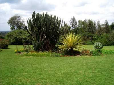 Hotel grounds