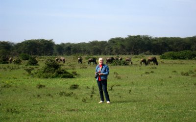  Standing in front of the Wildebeest
