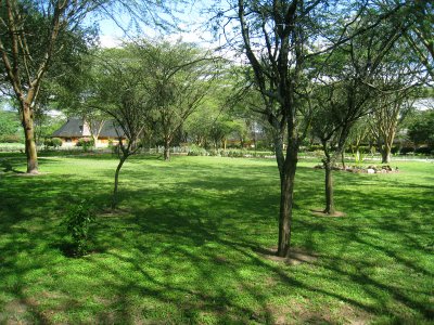 View from the porch