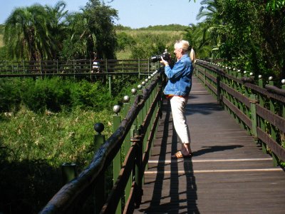 Checking the photo I had just taken of the hippos
