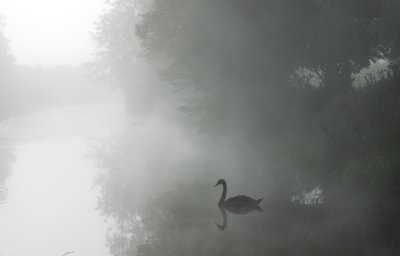 Early morning on Kennet & Avon Canal