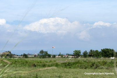 Windsock