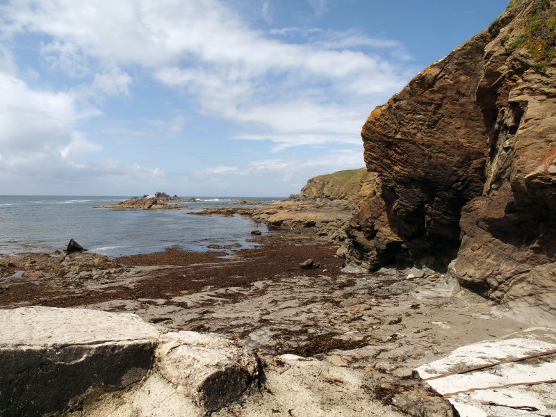 LIZARD POINT