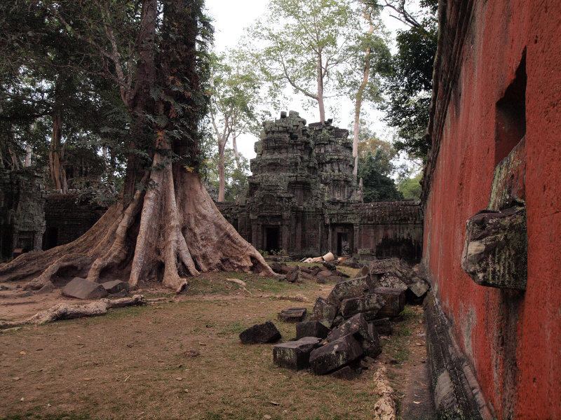 TA PROHM TEMPLE AREA