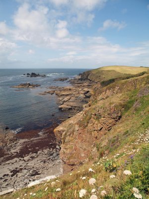 LIZARD POINT