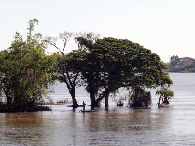 FLOODED  BANKS OF THE MEKONG RIVER