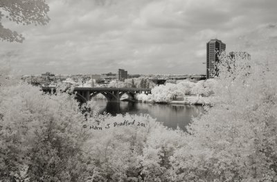 Downtown Saskatoon