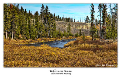 Wilderness Stream WEB