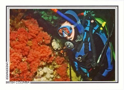 036   Soft coral (Eunephtya rubiformis) reflected in diver's mask, Hunt Rock, Queen Charlotte Strait