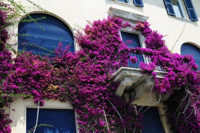 113 CINQUE TERRE, Monterosso