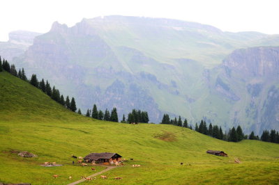 156 MANNLICHEN-WENGEN, view from gondola