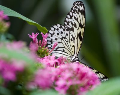 _MG_5540.jpg