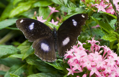 _MG_5578.jpg