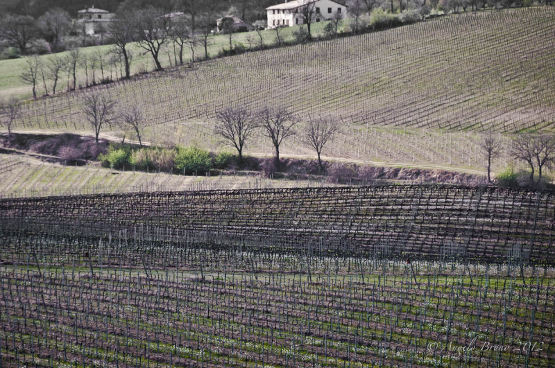 spello__bevagna