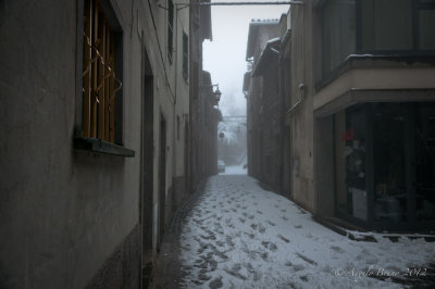 _DSC3863.jpg