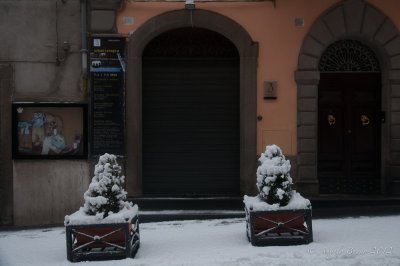 _DSC3872.jpg