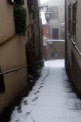 _DSC3878.jpg