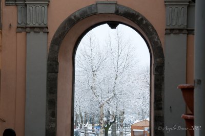_DSC3924.jpg