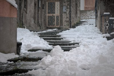 _DSC3928.jpg