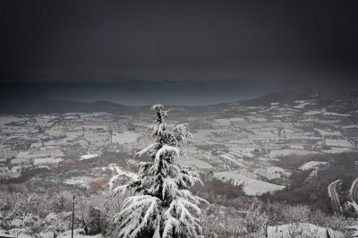 _DSC3941.jpg