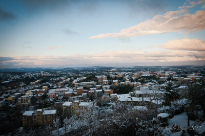 _DSC3971.jpg