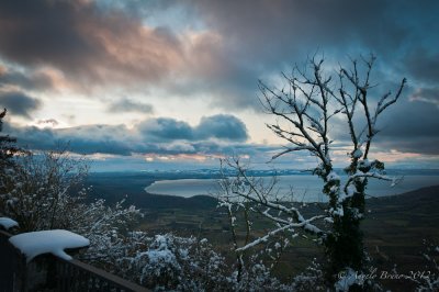 _DSC3972.jpg