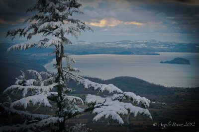 _DSC3975.jpg