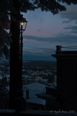 _DSC3989.jpg