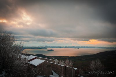 _DSC3993.jpg