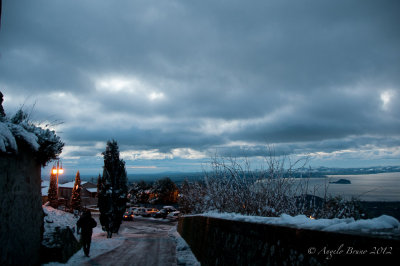 _DSC3995.jpg