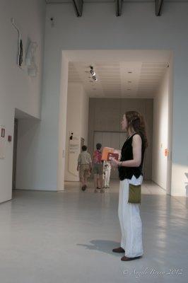 maxxi_and_museo_arte_moderna