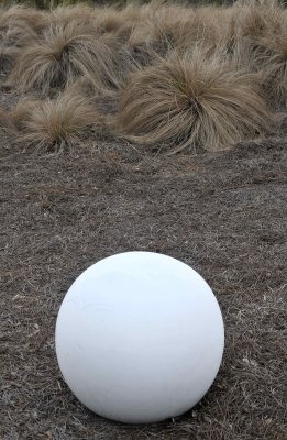 an egg or a ball
