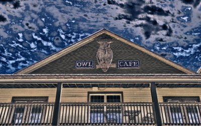 Owl Cafe 