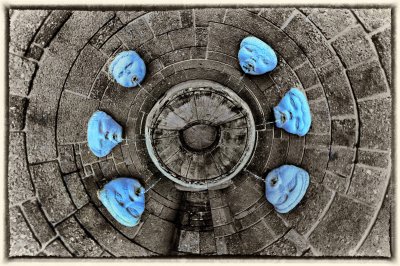 6 blue heads