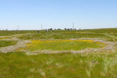 Mather Vernal Pools