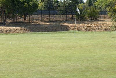 8:21 group 3 birdies on #5