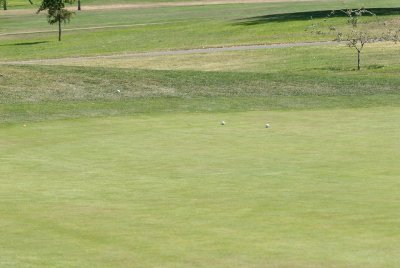 Final group eagle chances on 17th