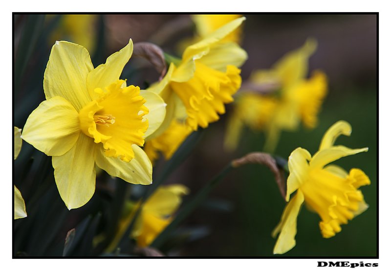 6 april 2011.jpg