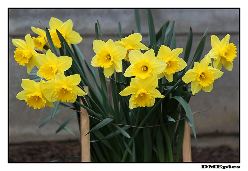 7 april 2011.jpg