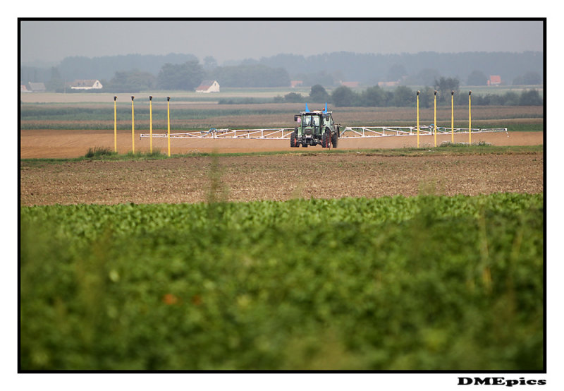 8 augustus 2011.jpg