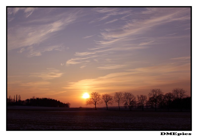 14 maart 2012.jpg