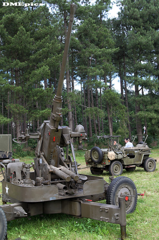 m0831.jpg