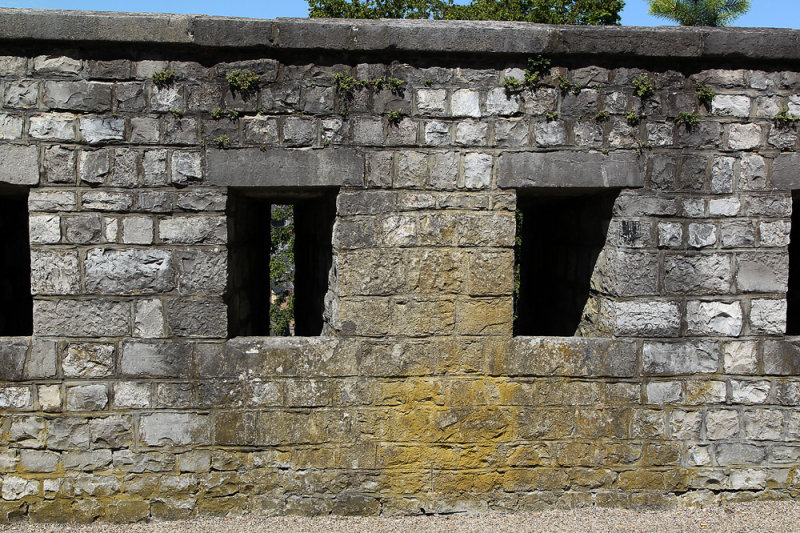 n3876.jpg