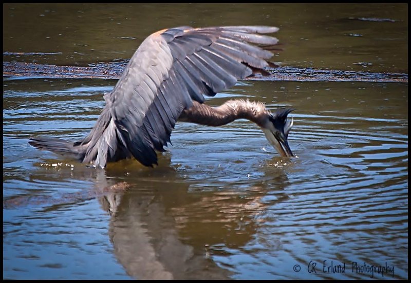 Chasing the Big One