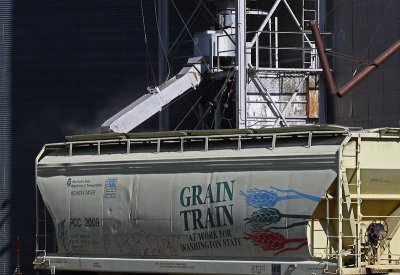 The Grain Train