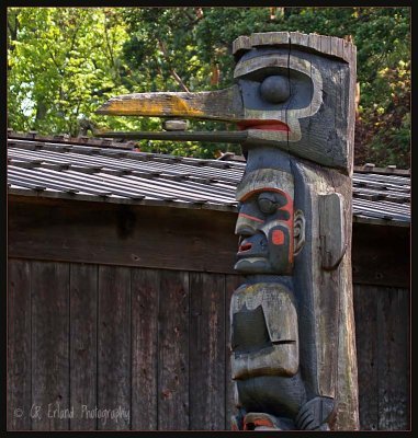 Thunderbird Park<br> next to the Royal BC Museum