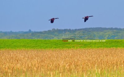IMG_2403.jpg