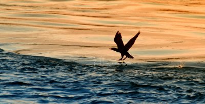 IMG_6192.jpg